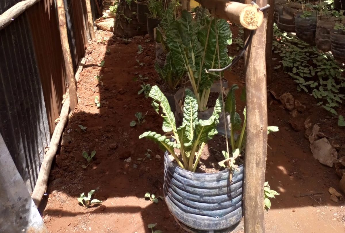 WhatsApp Image 2023-02-02 at 12.28.43 (1)